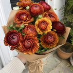 Ranunculus 'Picotee Café' - Harding & Bloom