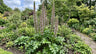 Foliage & Containers