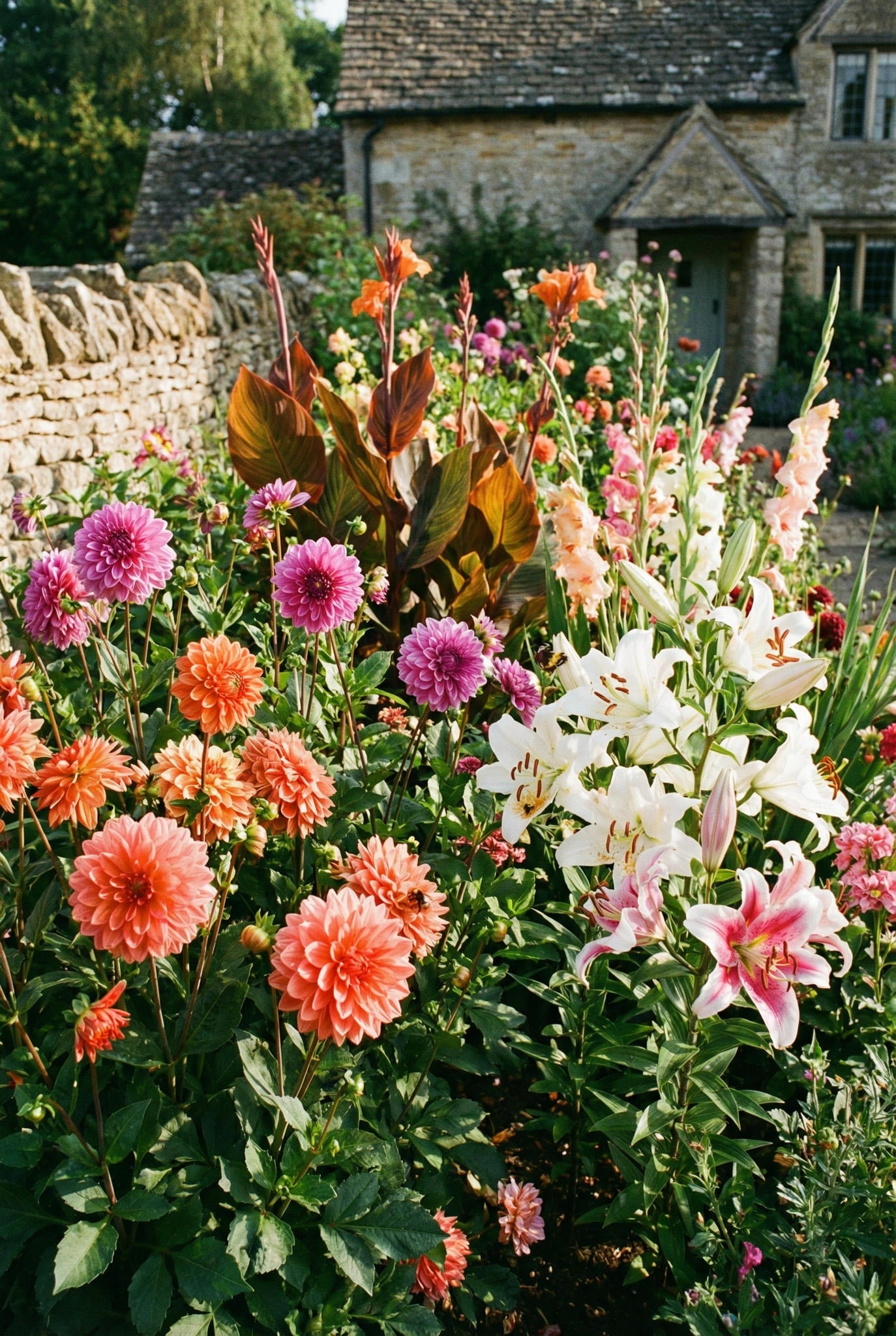 Harding & Bloom | The UK's Favourite Bulb Nursery