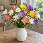 Freesia 'Single Mixed' - Harding & Bloom