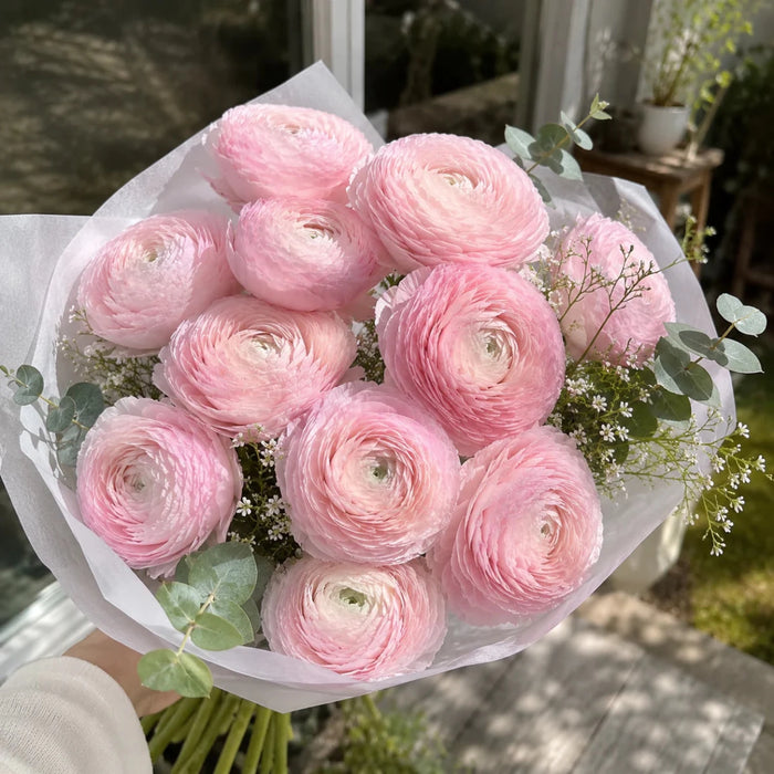 Ranunculus 'Elegance® Rosa Chiaro'