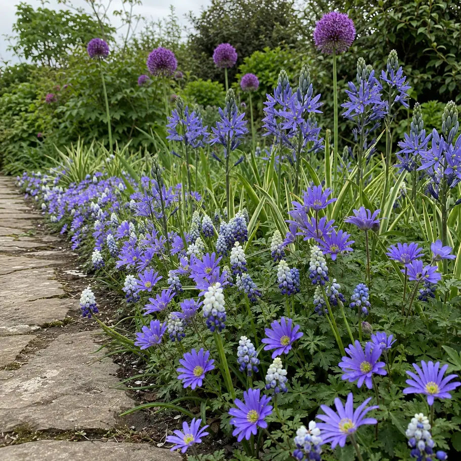 Close garden view through the layered blue and violet spring flowers