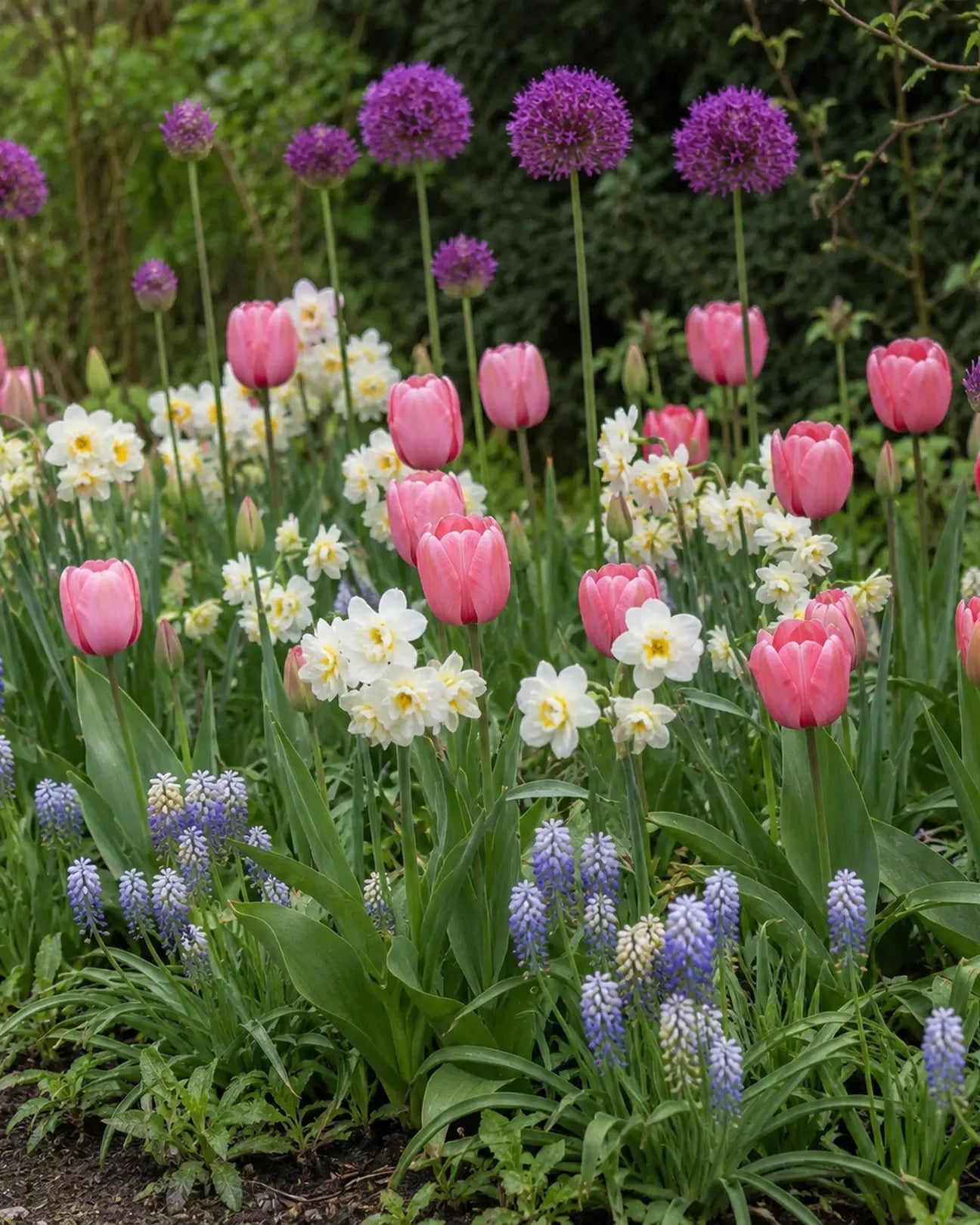Portrait garden view showing the height and layers of the Soft Spring Border