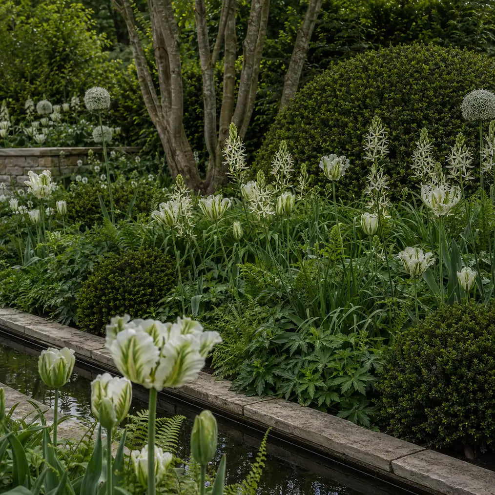 White and green spring planting beside a formal water feature