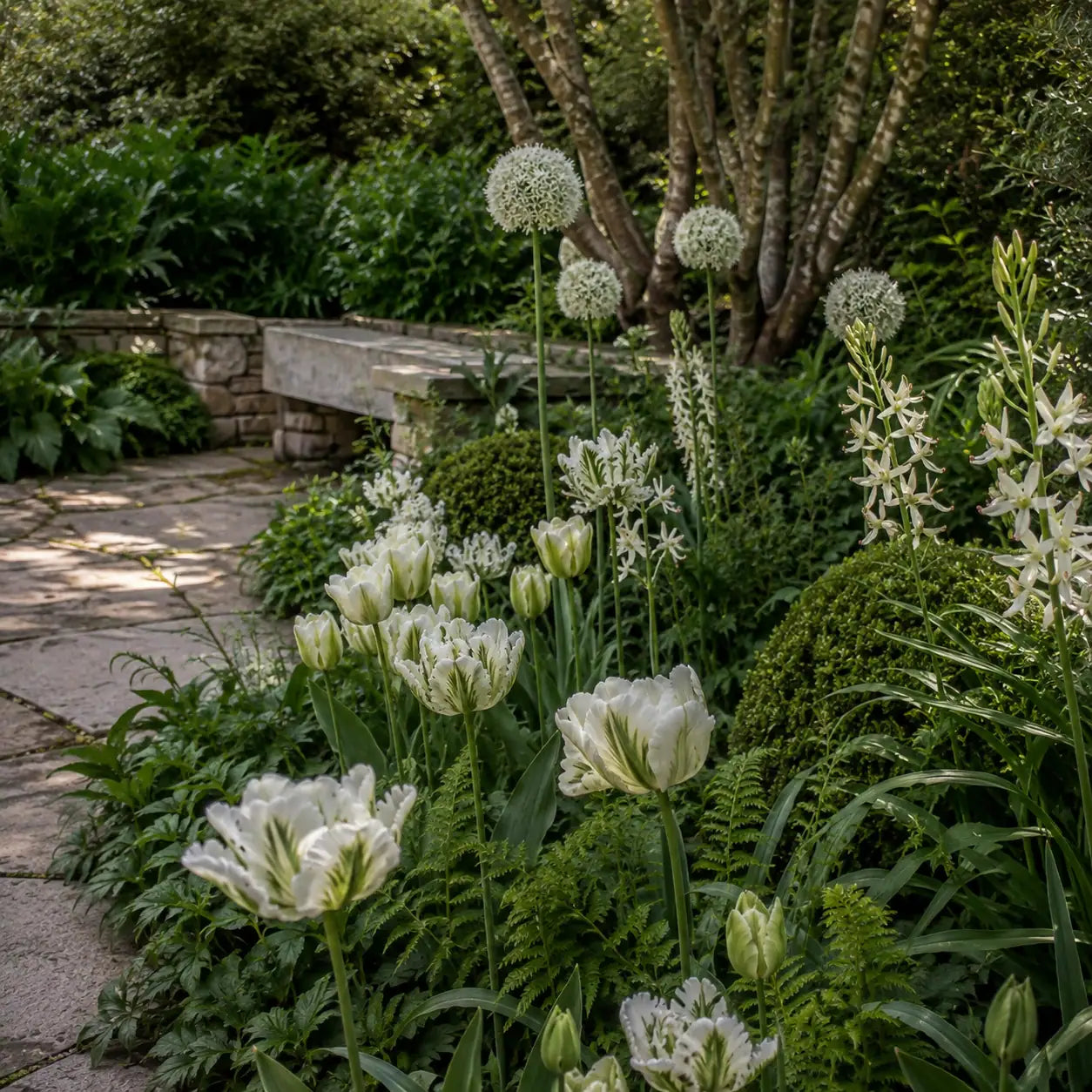 Layered white and green spring border beside a stone garden path