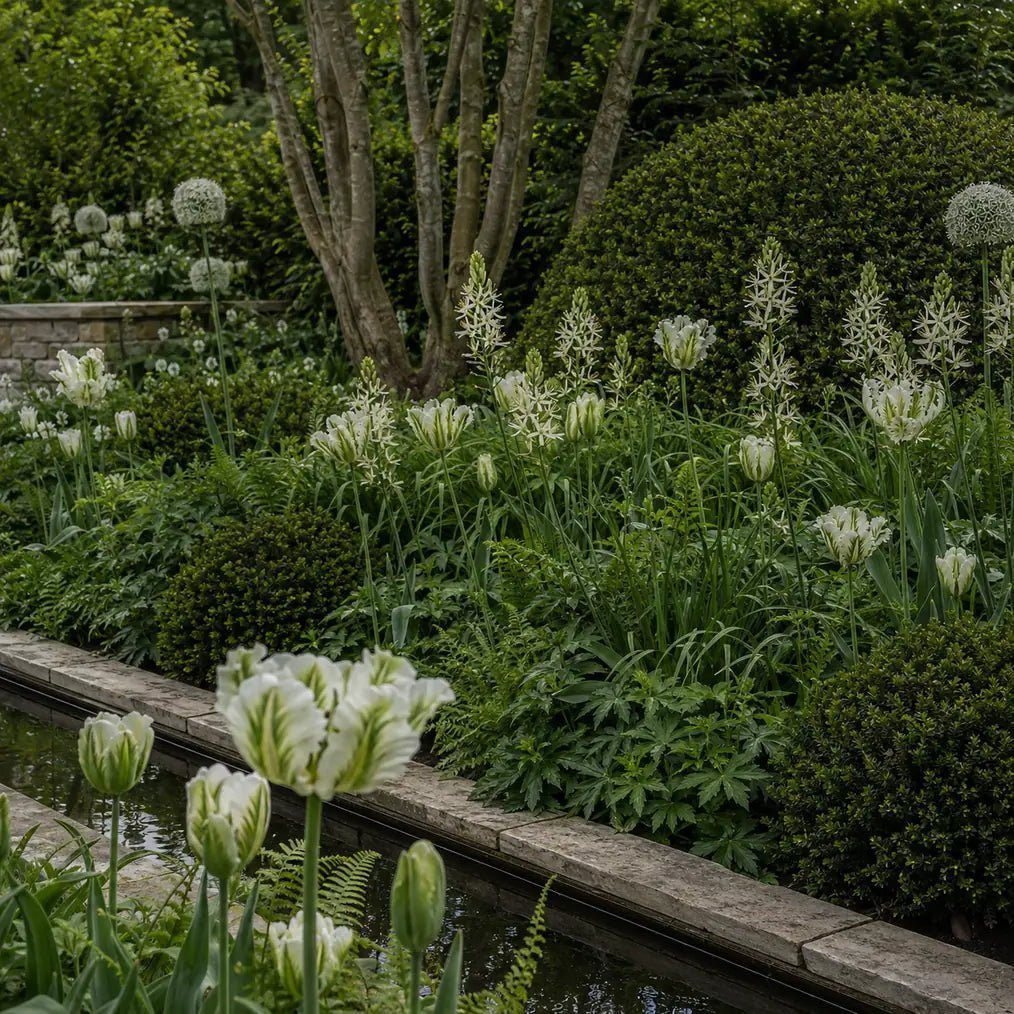 White and green spring planting beside a formal water feature